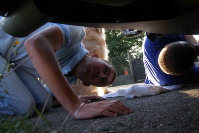 Vidíš to tam? Co to je Bobánku?