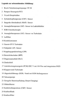 senz02.jpg