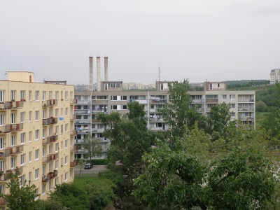 P5059247-rsz.jpg