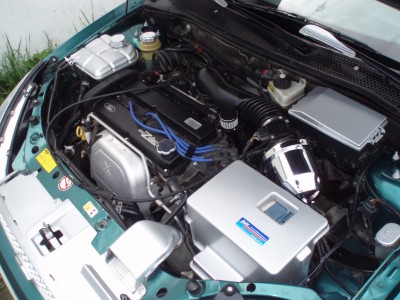 Kopie - P5080577.JPG