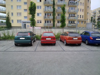 06082010260.jpg