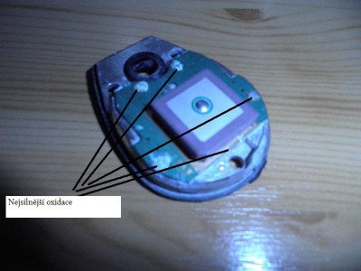 P8170181 (2).JPG