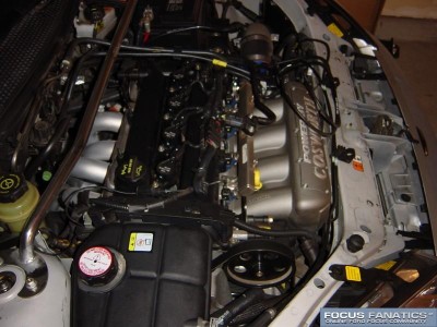 959305st_svtstyle33.JPG