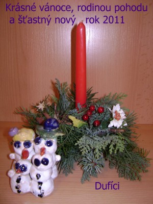 PF2011.jpg