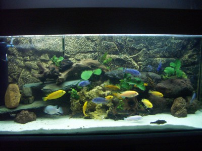 PICT1652.JPG