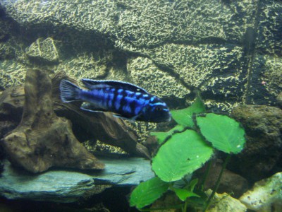 PICT1679.JPG