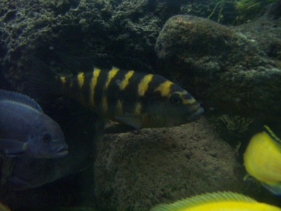 PICT1687.JPG