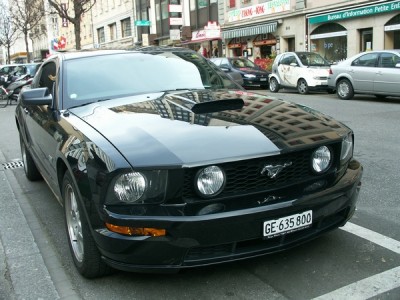 mustang.jpg
