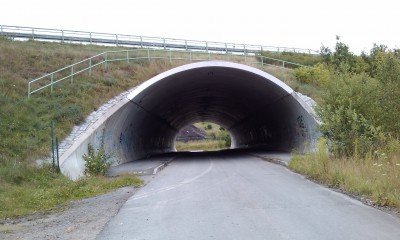 IMAG0110.jpg
