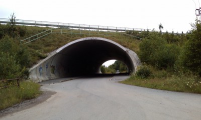 IMAG0111.jpg