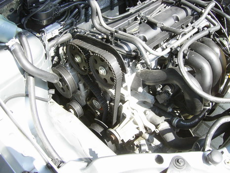 SA405915_Změnit velikost.JPG