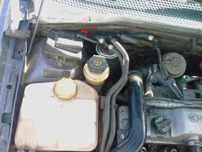 IMAG0073.jpg